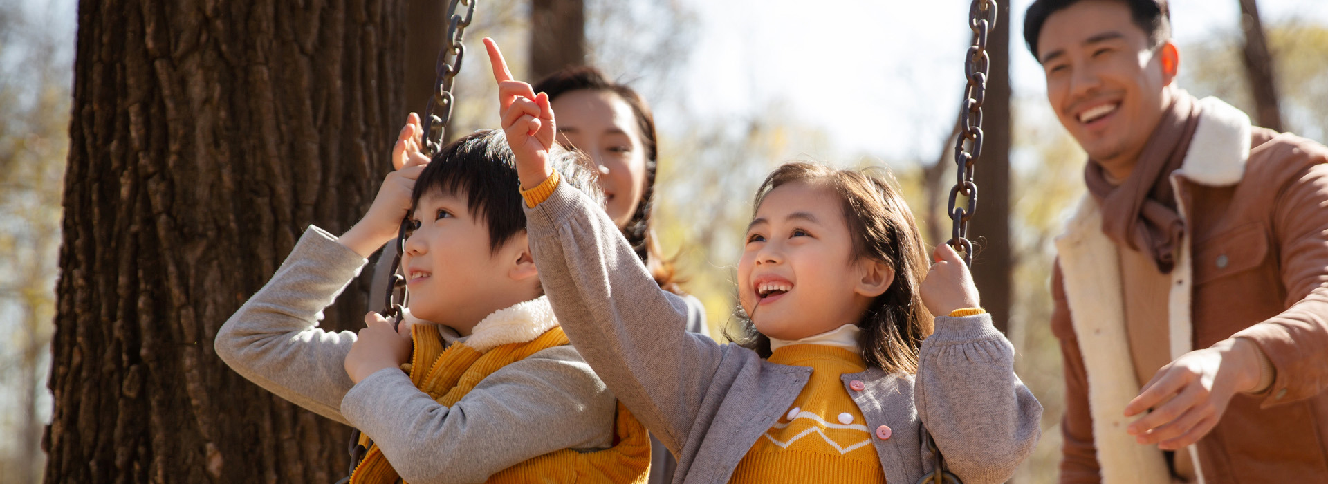 法律服务专业化领域
的行业领跑者